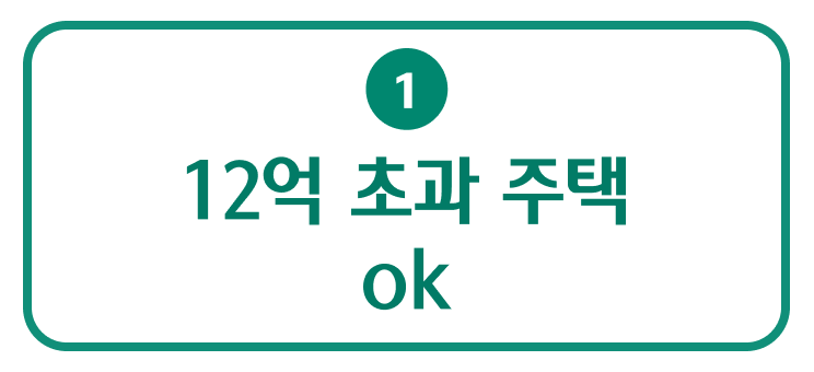 12억 초과 주택 ok
