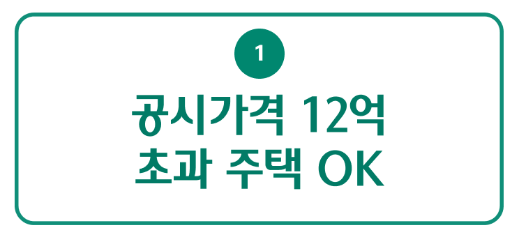 공시가격 12억 초과 주택 ok